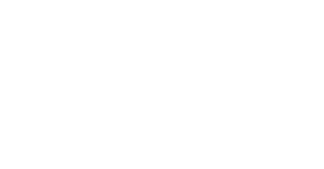 ayterek_logo