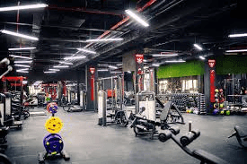 bannerImage