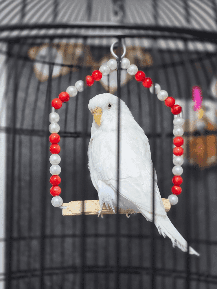bannerImage